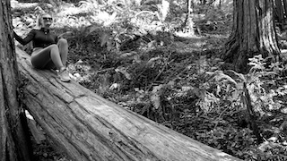 muir_woods.jpeg